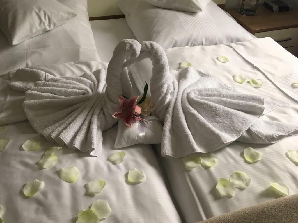 Hotel Am Hof Taufkirchen  Kültér fotó